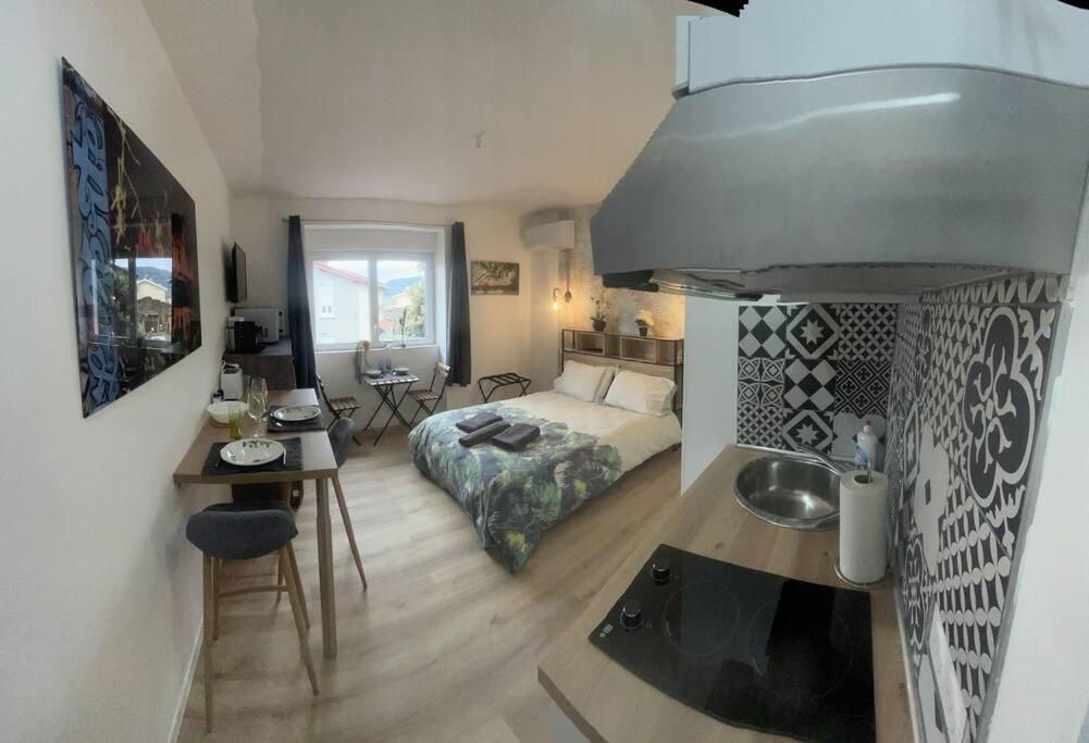Verdi Studio Cosy Au Calme Parking Gratuit Chasse-sur-Rhône Exterior foto