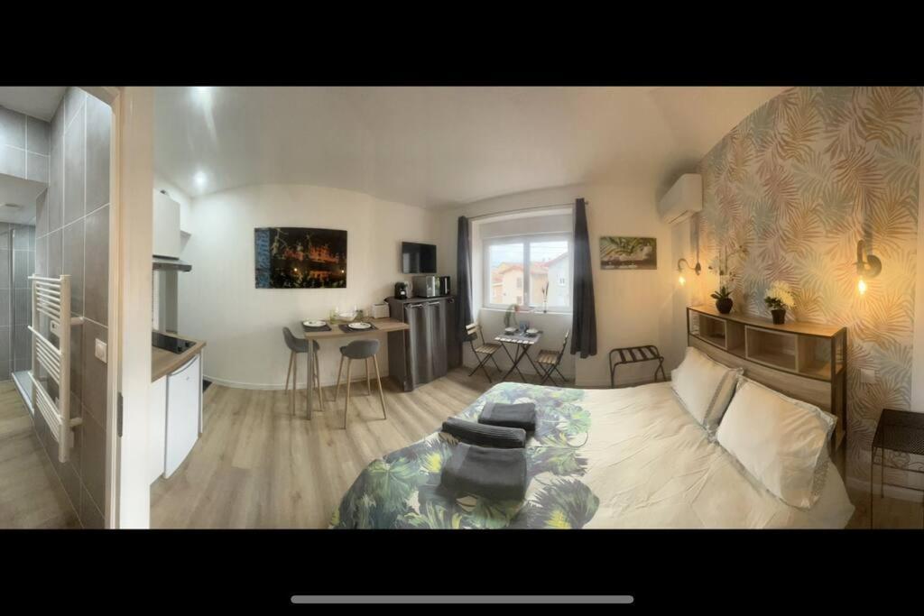 Verdi Studio Cosy Au Calme Parking Gratuit Chasse-sur-Rhône Exterior foto